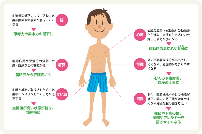 内蔵老化の体への影響