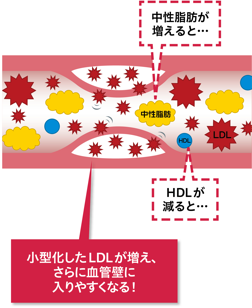 トリプルパンチが血管のダメージに！