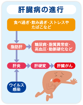 肝臓病の進行