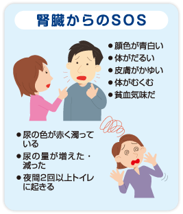 腎臓からのSOS