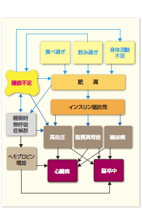 生活習慣と睡眠の密接な関係