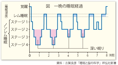 一晩の睡眠経過