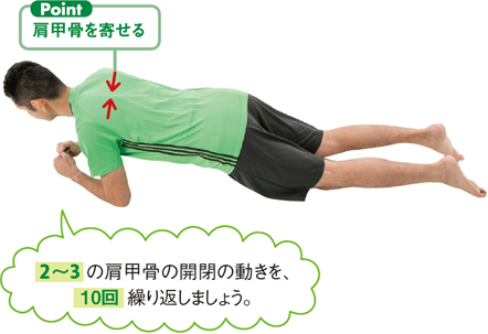 肩甲骨を寄せる 2～3 の肩甲骨の開閉の動きを、10回繰り返しましょう。