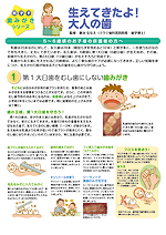 <親子で歯みがきシリーズ>
生えてきたよ!大人の歯