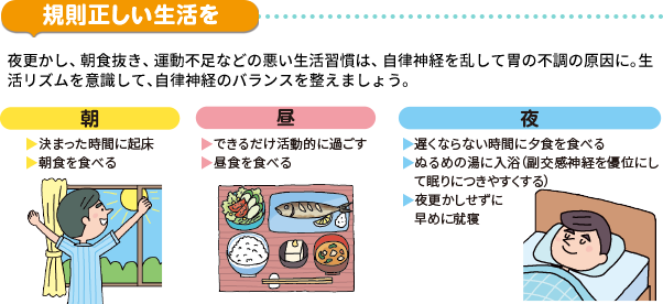 規則正しい生活を 夜更かし、朝食抜き、運動不足などの悪い生活習慣は、自律神経を乱して胃の不調の原因に。生活リズムを意識して、自律神経のバランスを整えましょう。