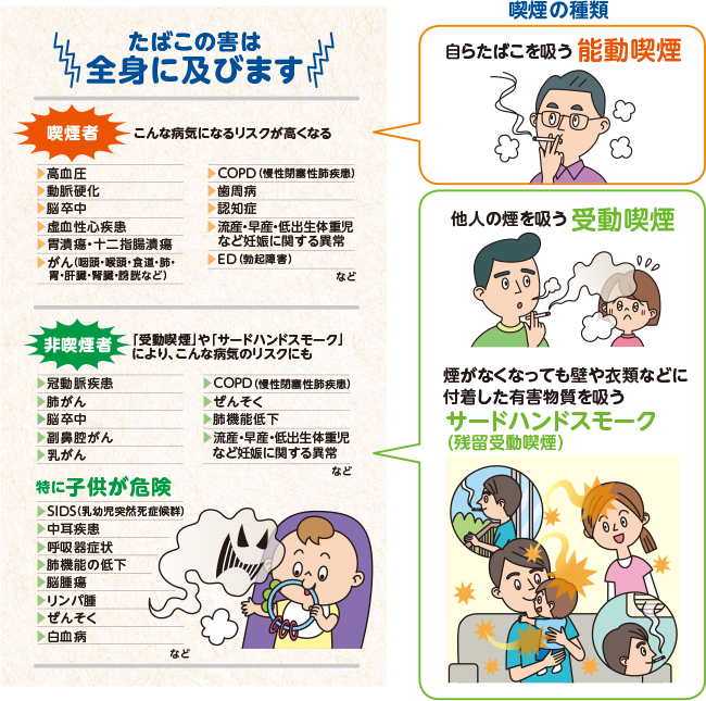 喫煙の種類自らたばこを吸う能動喫煙他人の煙を吸う受動喫煙煙がなくなっても壁や衣類などに付着した有害物質を吸うサードハンドスモーク（残留受動喫煙）