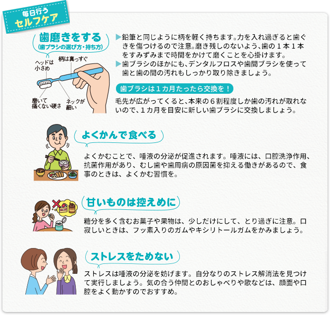 毎日行うセルフケア歯磨きをする（歯ブラシの選び方・持ち方）よくかんで食べる甘いものは控えめにストレスをためない