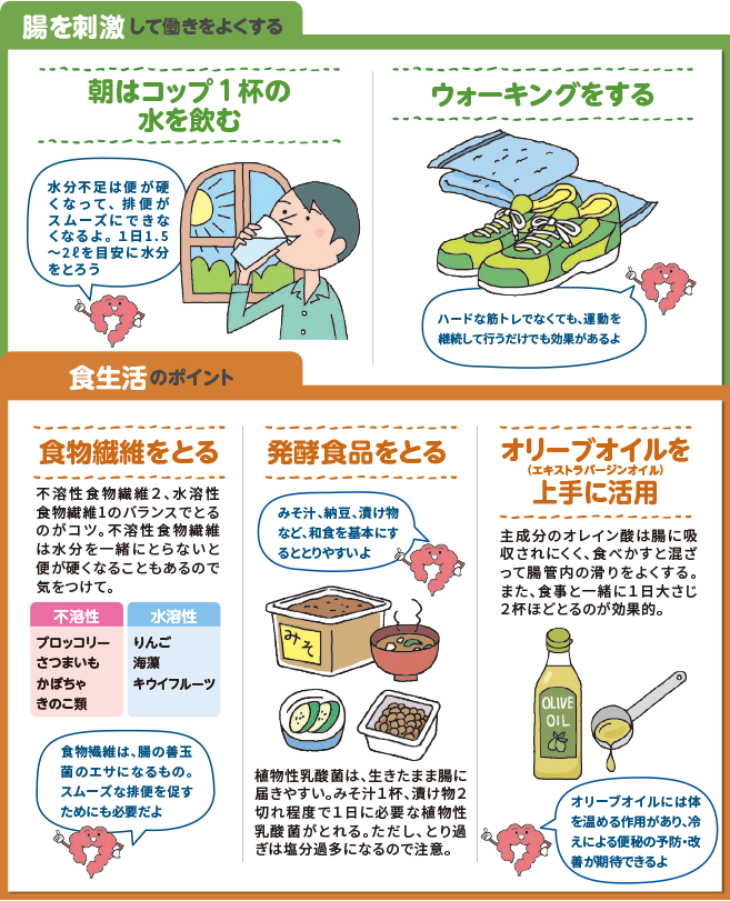 腸を刺激して働きをよくする 朝はコップ1杯の水を飲む ウォーキングをする 食生活のポイント 食物繊維をとる 発酵食品をとる オリーブオイル（エキストラバージンオイル）を上手に活用