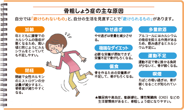 骨粗しょう症の主な原因 「避けられないもの」：加齢・閉経 「避けられるもの」：やせ過ぎ・多量飲酒・極端なダイエット・運動不足・偏食・喫煙