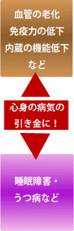 ǂ̘VƉu͂̒ቺ̋@\ቺȂǁ@QEaȂǁ@Sg̕aC̈