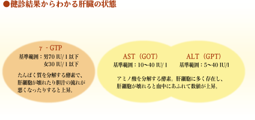 健診結果からわかる肝臓の状態