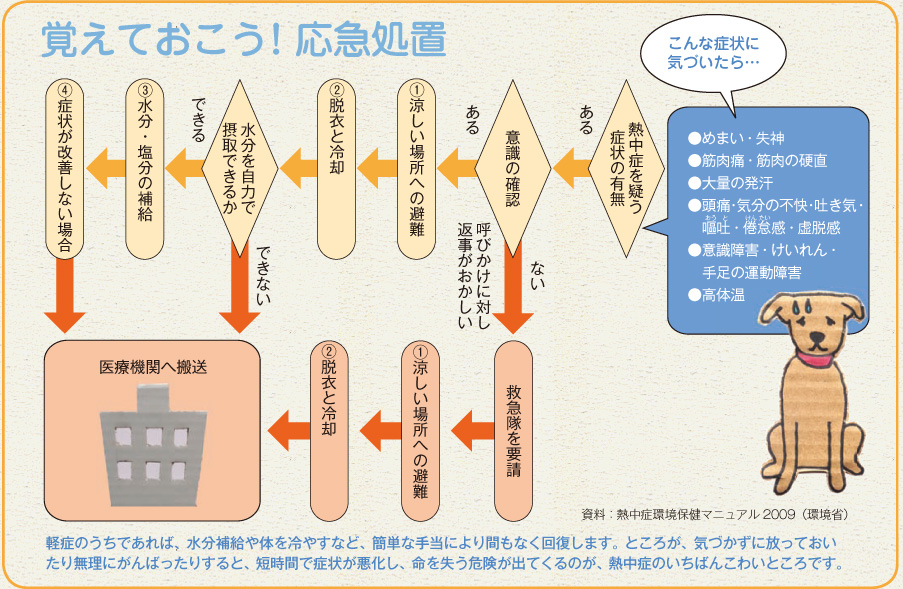 覚えておこう！応急処置