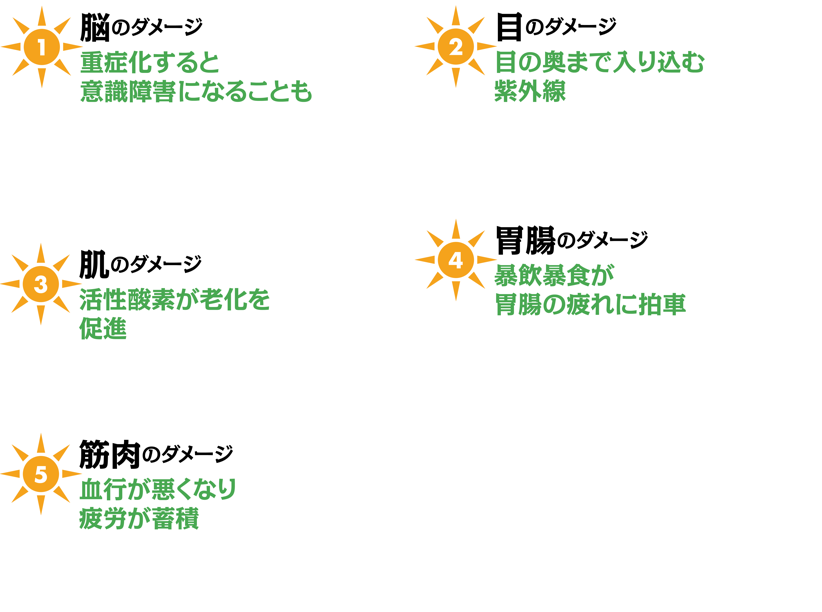 脳、目、肌、胃腸、筋肉のダメージ