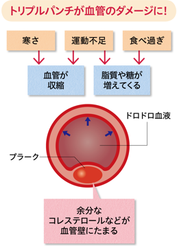 小型化したLDLが増え、さらに血管壁に入りやすくなる!