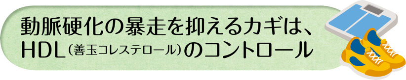 動脈硬化の暴走を抑えるカギは、ＨＤＬ（善玉コレステロール）のコントロール
