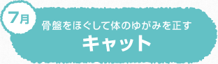 骨盤をほぐして体のゆがみを正す キャット