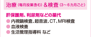 治療（毎月投薬含む）＆検査（3～6カ月ごと）　肝保護剤、利尿剤などの薬代・内視鏡検査、超音波、CT、MRI検査・血液検査・生活管理指導料など