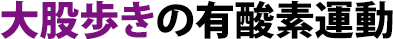 大股歩きの有酸素運動