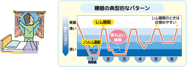 睡眠の典型的なパターン