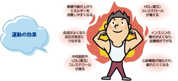 運動の効果