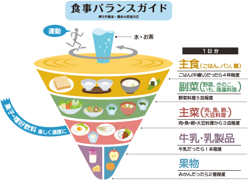 食事バランスガイド