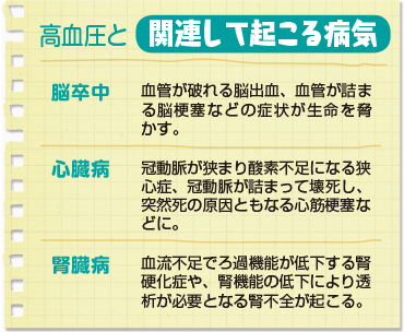 高血圧と関連しておこる病気。脳卒中、血管が破れる脳出血、血管が詰まる脳梗塞などの症状が生命を脅かす。心臓病、冠動脈が狭まり酸素不足になる狭心症、冠動脈が詰まって壊死し、突然死の原因ともなる心筋梗塞などに。腎臓病、血流不足でろ過機能が低下する腎硬化症や、腎機能低下により透析が必要となる腎不全が起こる。
