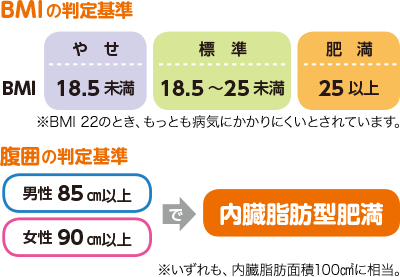 BMIの判定基準。やせ BMI 18.5未満、標準 18.5~25未満、肥満 25以上。※BMI22のとき、もっとも病気にかかりにくいとされています。腹囲の判定基準、男性85㎝以上 女性90㎝以上で内臓脂肪型肥満 ※いずれも、内臓脂肪面積100㎠に相当。