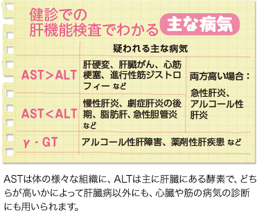 健診での肝機能検査でわかる主な病気。AST>ALT 疑われる主な病気 肝硬変、肝臓がん、心筋梗塞、進行性筋ジストロフィーなど。 AST<ALT 疑われる病気 慢性肝炎、劇症肝炎の後期、脂肪肝、急性胆嚢炎など。 両方高い場合:急性肝炎、アルコール性肝炎。 γ・GT アルコール性肝障害、薬剤性肝疾患など。 ASTは体の様々な組織に、ALTは主に肝臓にある酵素で、どちらが高いかによって肝臓病以外にも、心臓や筋の病気の診断にも用いられます。
