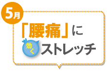 5月 「腰痛」に効くストレッチ