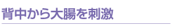 背中から大腸を刺激