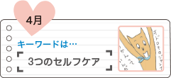 3つのセルフケア