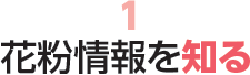 1 花粉情報を知る