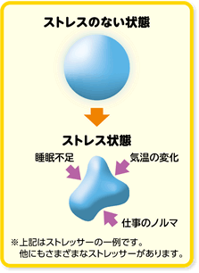 ストレスのない状態→ストレス状態