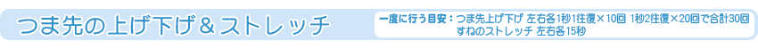つま先の上げ下げ＆ストレッチ
[一度に行う目安：つま先上げ下げ 左右各1秒1往復×10回、1秒2往復×20回で合計30回 すねのストレッチ 左右各15秒]