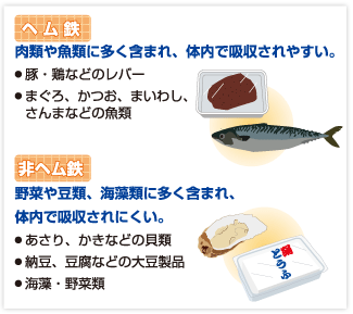鉄分