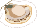 illust