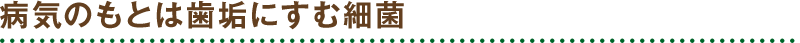 病気のもとは歯垢にすむ細菌