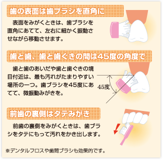 鉄分