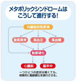 メタボリックシンドロームはこうして進行する！