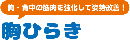 胸・背中の筋肉を強化して姿勢改善！胸ひらき