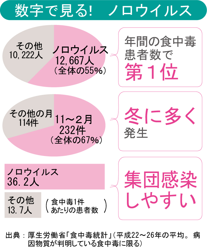 数字で見る!ノロウイルス