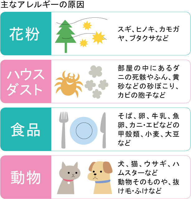 主なアレルギーの原因