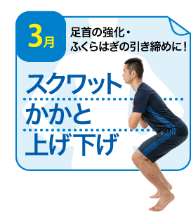 スクワットかかと上げ下げ