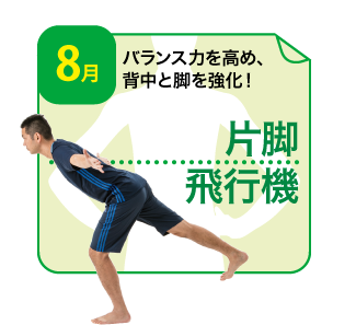 片脚飛行機