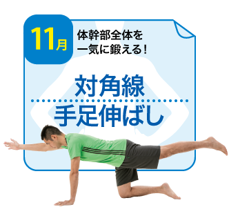 対角線手足伸ばし