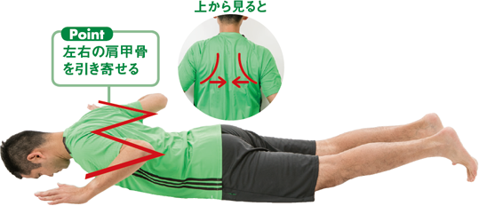 左右の肩甲骨を引き寄せる