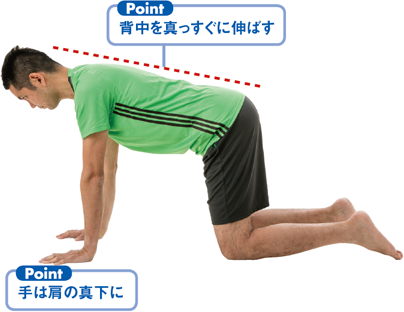 背中を真っすぐに伸ばす 手は肩の真下に