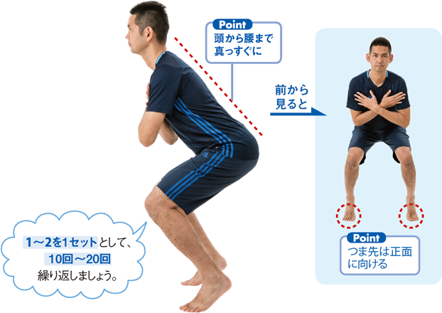 頭から腰まで真っすぐに つま先は正面に向ける1～2を1セットとして、10回～20回繰り返しましょう。