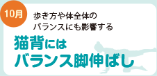 猫背にはバランス脚伸ばし