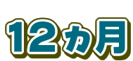 12J